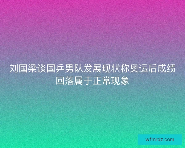 刘国梁谈国乒男队发展现状称奥运后成绩回落属于正常现象
