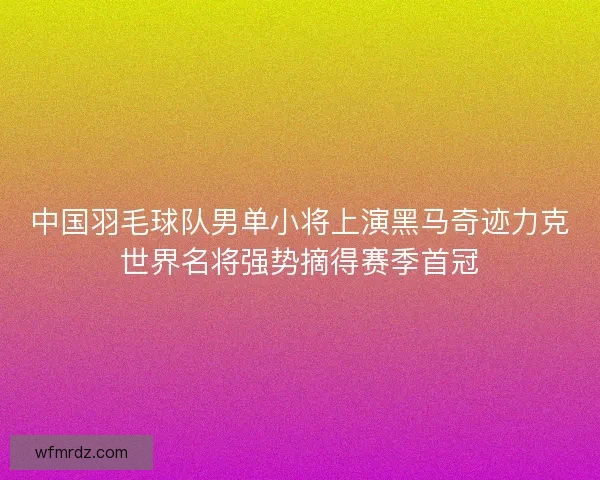 中国羽毛球队男单小将上演黑马奇迹力克世界名将强势摘得赛季首冠 中国羽毛球队男单小将上演黑马奇迹力克世界名将强势摘得赛季首冠